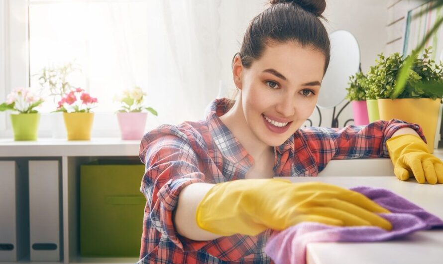 Top 10 Essential Cleaning Supplies Every Homeowner Should Have
